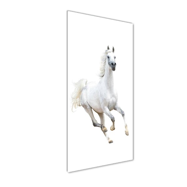 Cuadro de metacrilato moderno efecto cristal vertical Un caballo blanco galopando