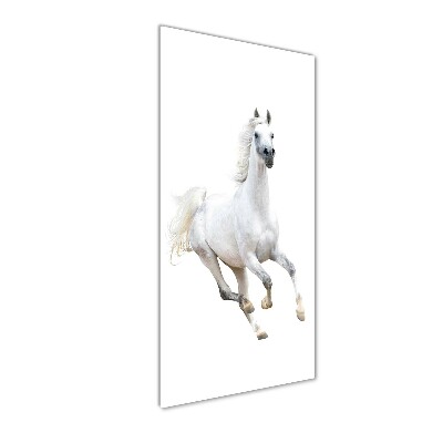 Cuadro de metacrilato moderno efecto cristal vertical Un caballo blanco galopando