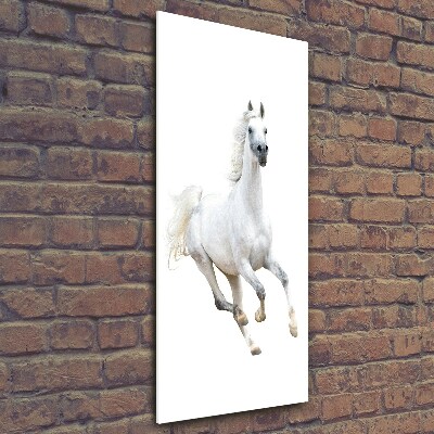 Cuadro de metacrilato moderno efecto cristal vertical Un caballo blanco galopando