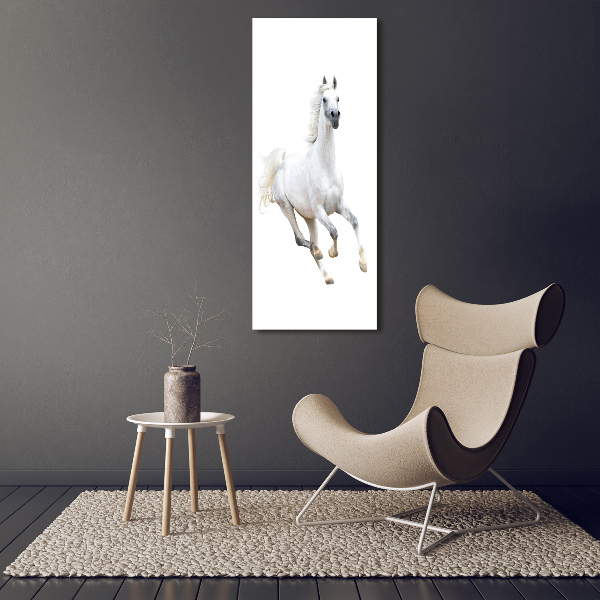 Cuadro de metacrilato moderno efecto cristal vertical Un caballo blanco galopando