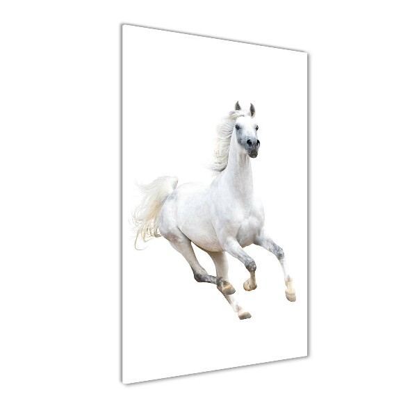 Cuadro de metacrilato moderno efecto cristal vertical Un caballo blanco galopando