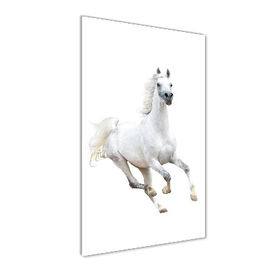 Cuadro de metacrilato moderno efecto cristal vertical Un caballo blanco galopando