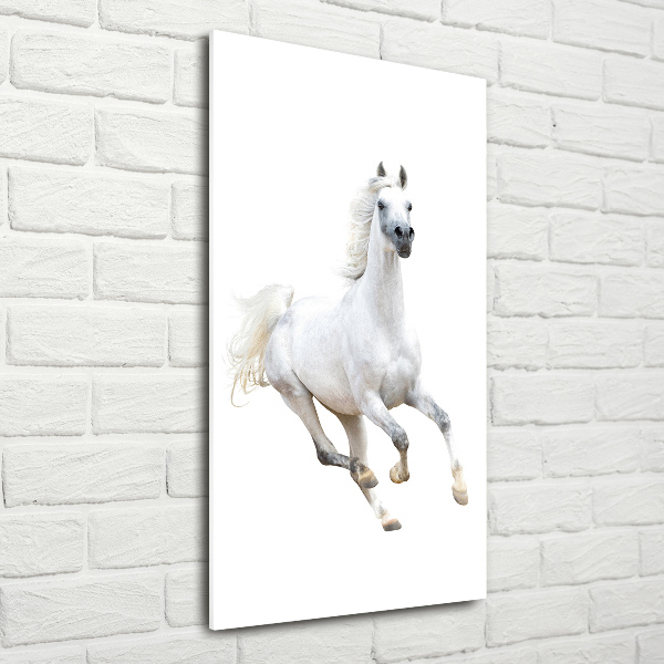 Cuadro de metacrilato moderno efecto cristal vertical Un caballo blanco galopando