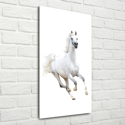 Cuadro de metacrilato moderno efecto cristal vertical Un caballo blanco galopando