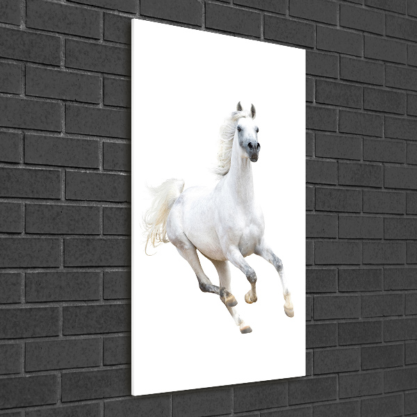 Cuadro de metacrilato moderno efecto cristal vertical Un caballo blanco galopando