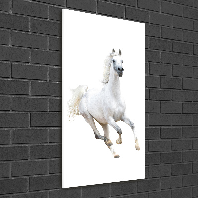 Cuadro de metacrilato moderno efecto cristal vertical Un caballo blanco galopando