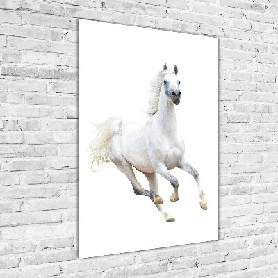Cuadro de metacrilato moderno efecto cristal vertical Un caballo blanco galopando