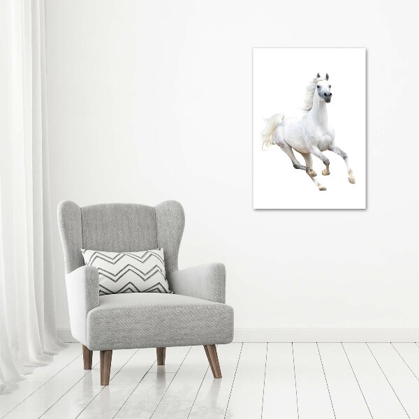 Cuadro de metacrilato moderno efecto cristal vertical Un caballo blanco galopando