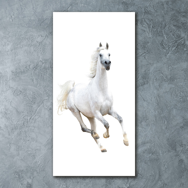 Cuadro de metacrilato moderno efecto cristal vertical Un caballo blanco galopando
