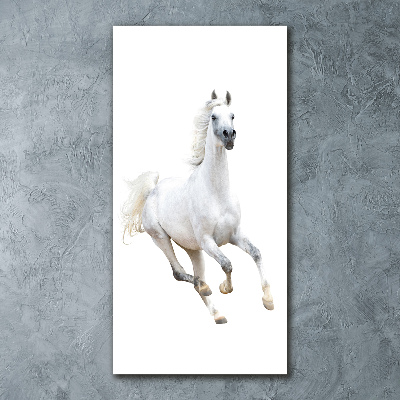 Cuadro de metacrilato moderno efecto cristal vertical Un caballo blanco galopando