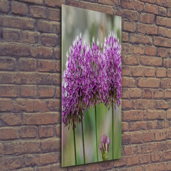 Cuadro decorativo en acrílico brillante vertical flores de ajo