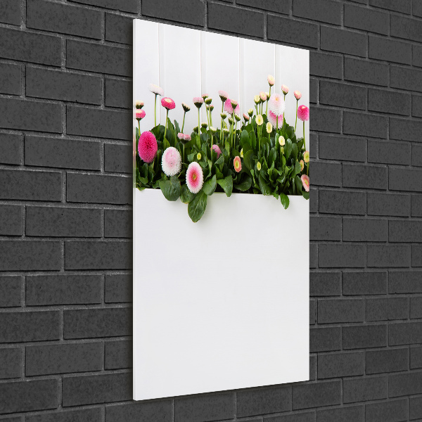 Cuadro de metacrilato vertical margaritas rosas