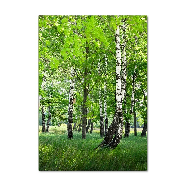 Impresión en metacrilato de alta calidad vertical bosque de abedules