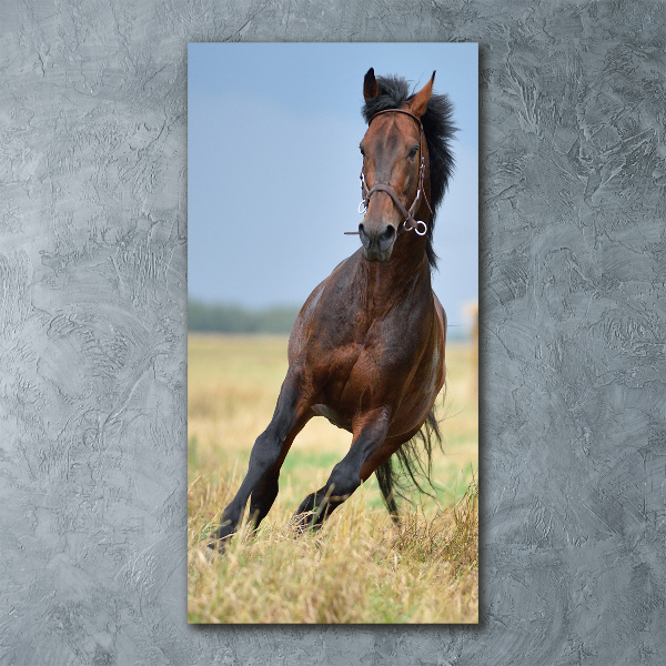 Impresión en metacrilato de alta calidad vertical Un caballo en un campo