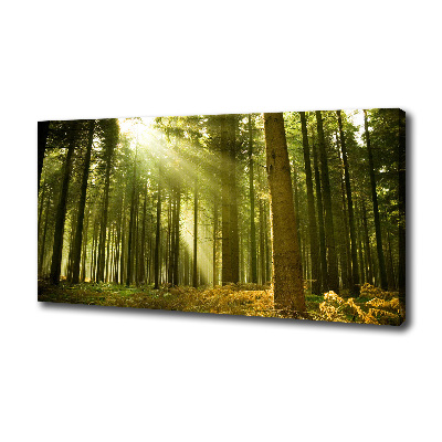 Cuadro canvas moderno de gran formato horizontal bosque de pinos