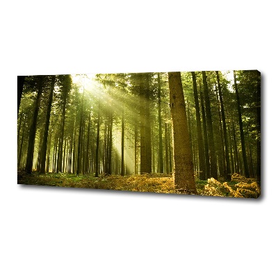 Cuadro canvas moderno de gran formato horizontal bosque de pinos