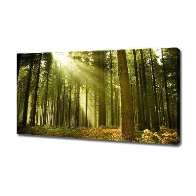 Cuadro canvas moderno de gran formato horizontal bosque de pinos