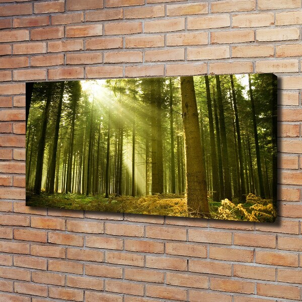 Cuadro canvas moderno de gran formato horizontal bosque de pinos