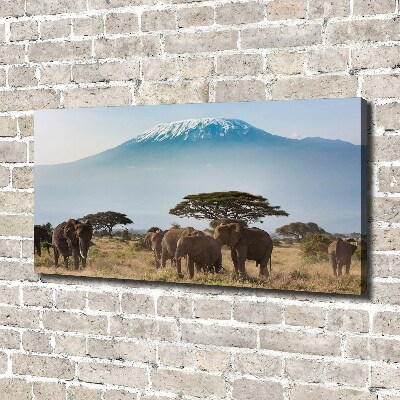Fotocuadro en lienzo de alta calidad horizontal Elefantes del Kilimanjaro