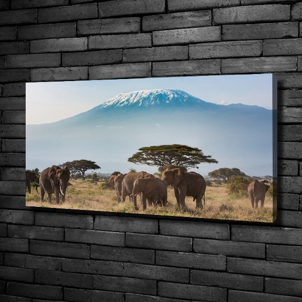 Fotocuadro en lienzo de alta calidad horizontal Elefantes del Kilimanjaro