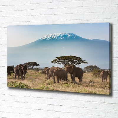 Fotocuadro en lienzo de alta calidad horizontal Elefantes del Kilimanjaro