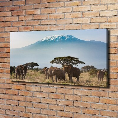 Fotocuadro en lienzo de alta calidad horizontal Elefantes del Kilimanjaro