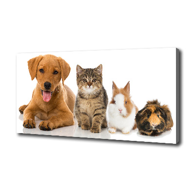 Cuadro canvas con impresión uv duradera horizontal Perro y gato