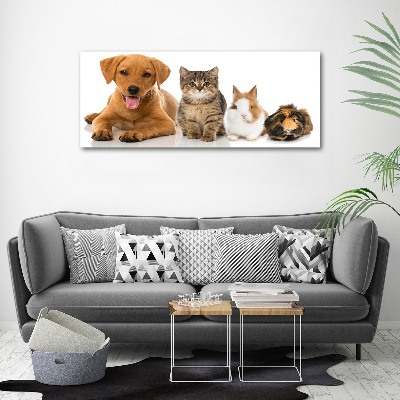 Cuadro canvas con impresión uv duradera horizontal Perro y gato