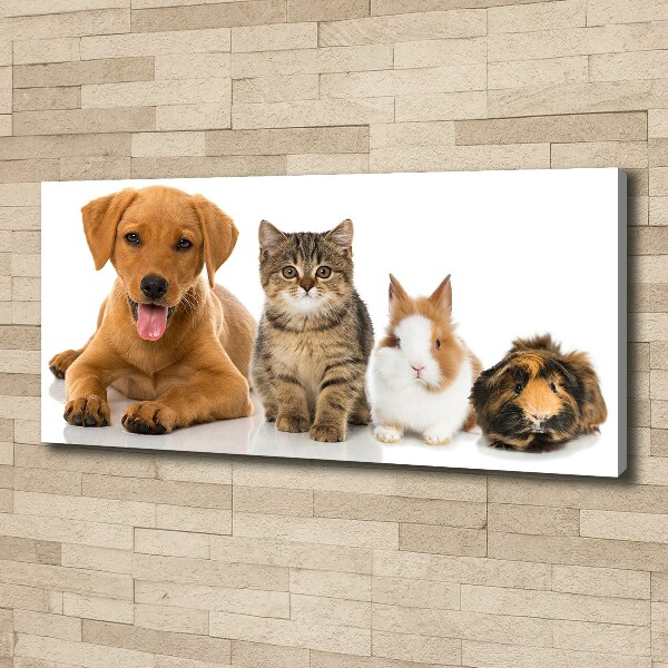 Cuadro canvas con impresión uv duradera horizontal Perro y gato