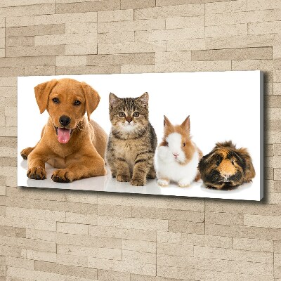 Cuadro canvas con impresión uv duradera horizontal Perro y gato