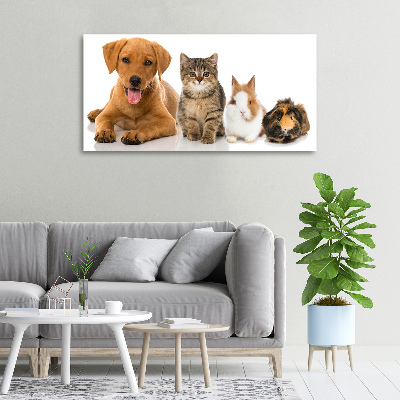 Cuadro canvas con impresión uv duradera horizontal Perro y gato