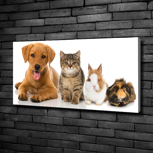 Cuadro canvas con impresión uv duradera horizontal Perro y gato