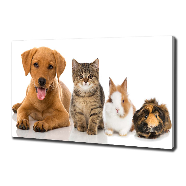 Cuadro canvas con impresión uv duradera horizontal Perro y gato