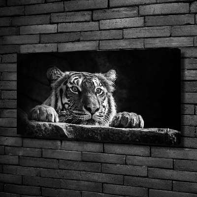 Foto en lienzo con acabado profesional horizontal Tigre