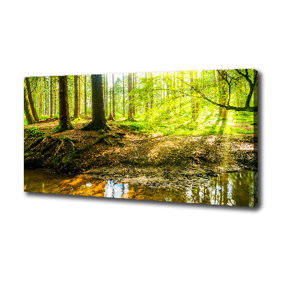 Cuadro canvas con impresión uv duradera horizontal rayos de sol en el bosque
