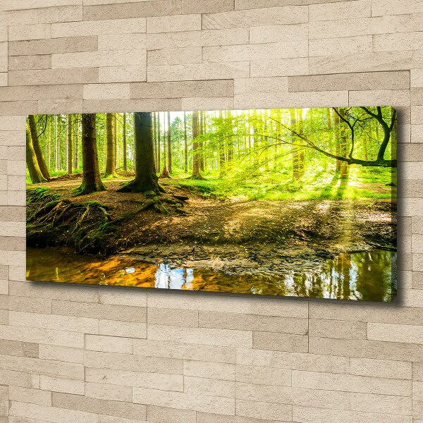 Cuadro canvas con impresión uv duradera horizontal rayos de sol en el bosque