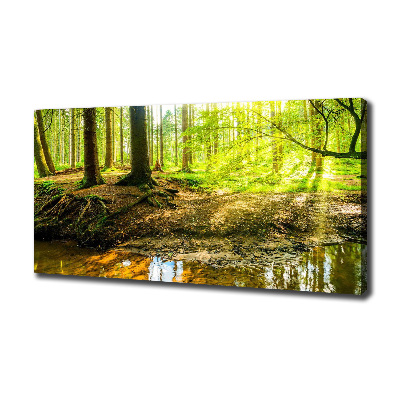 Cuadro canvas con impresión uv duradera horizontal rayos de sol en el bosque