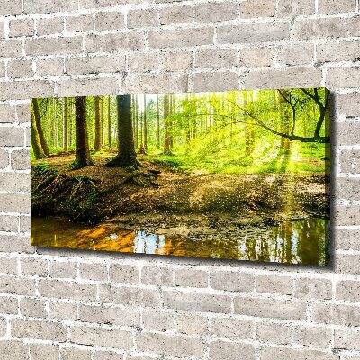 Cuadro canvas con impresión uv duradera horizontal rayos de sol en el bosque