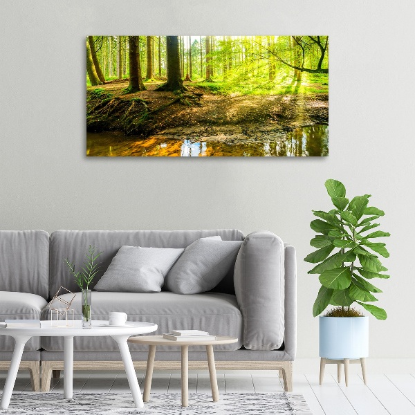 Cuadro canvas con impresión uv duradera horizontal rayos de sol en el bosque