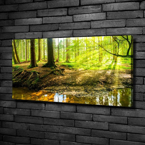 Cuadro canvas con impresión uv duradera horizontal rayos de sol en el bosque