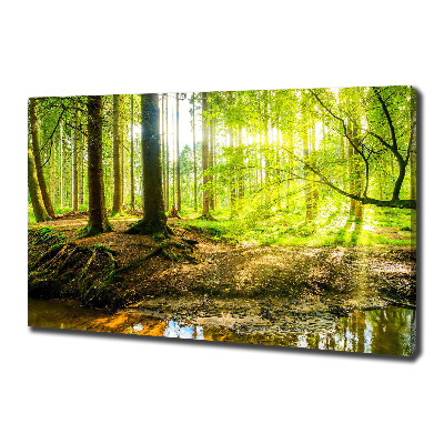 Cuadro canvas con impresión uv duradera horizontal rayos de sol en el bosque