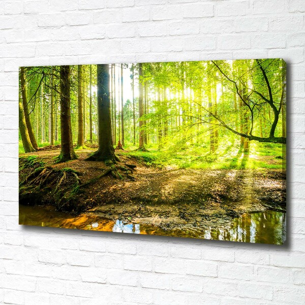 Cuadro canvas con impresión uv duradera horizontal rayos de sol en el bosque