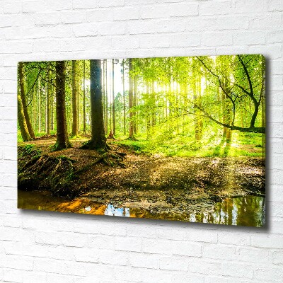 Cuadro canvas con impresión uv duradera horizontal rayos de sol en el bosque