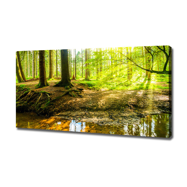 Cuadro canvas con impresión uv duradera horizontal rayos de sol en el bosque