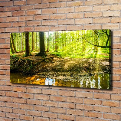 Cuadro canvas con impresión uv duradera horizontal rayos de sol en el bosque