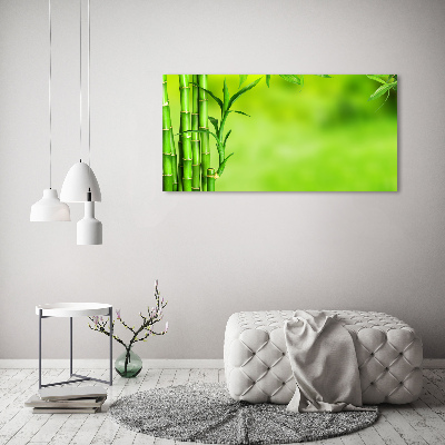 Duży foto obraz na ścianę canvas Bambus