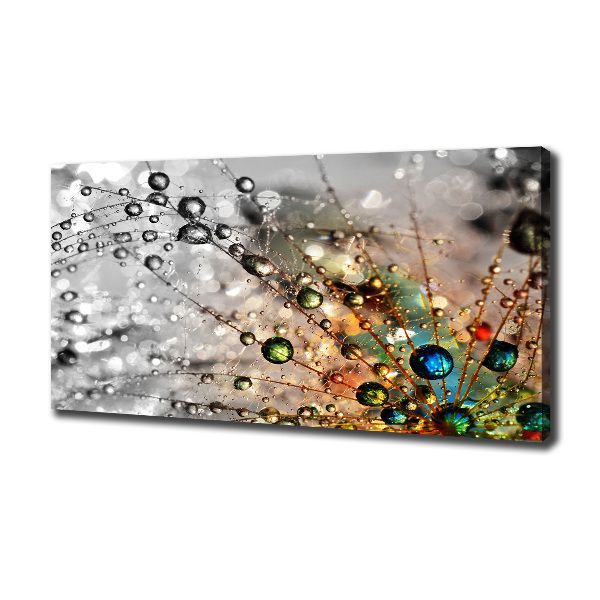 Cuadro canvas moderno de gran formato horizontal semillas de diente de león