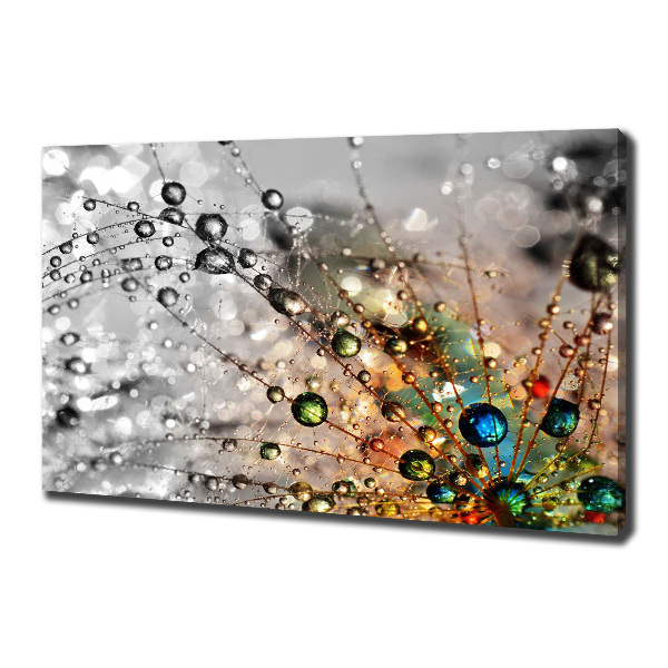 Cuadro canvas moderno de gran formato horizontal semillas de diente de león