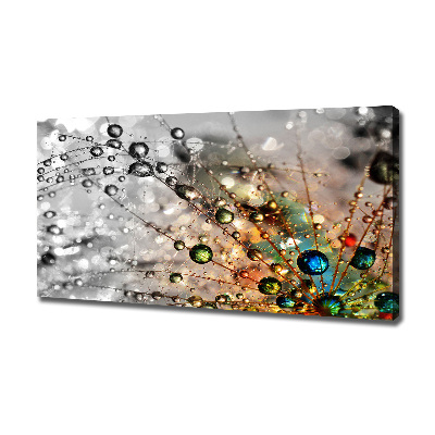 Cuadro canvas moderno de gran formato horizontal semillas de diente de león