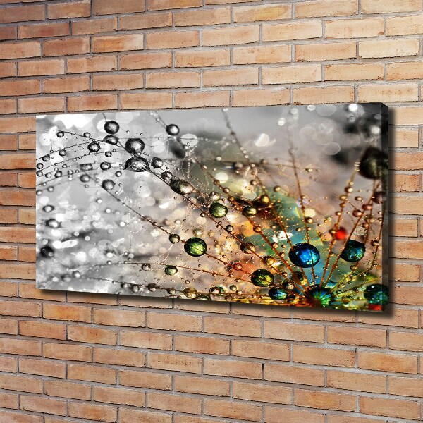 Cuadro canvas moderno de gran formato horizontal semillas de diente de león